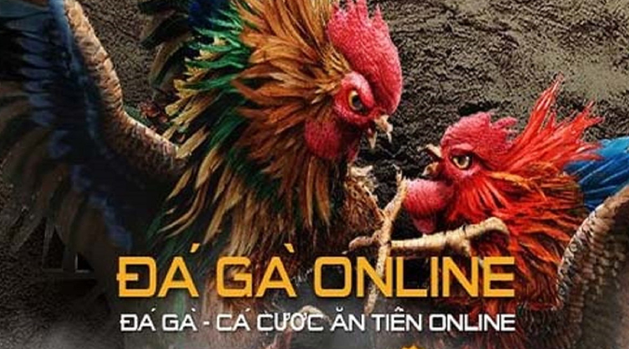 đá gà online jun88