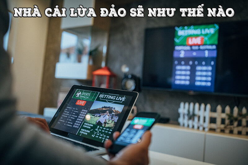 nha cai lua dao la nhu the nao