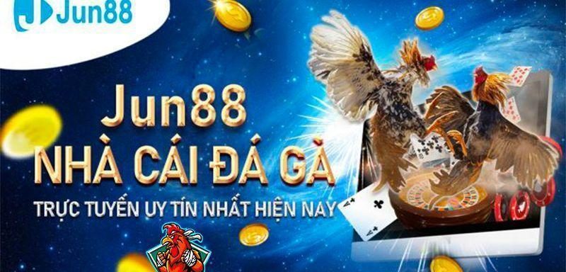 Jun88 sân chơi đá gà online uy tín bậc nhất