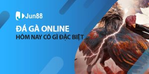 Đá gà online Jun88