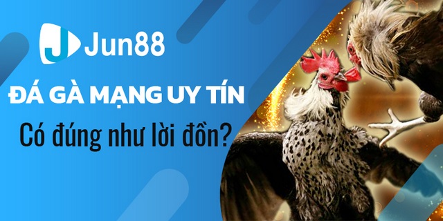 Vài nét về Đá gà online Jun88