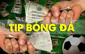 Jun88 tìm hiểu Típ bóng đá tại Tiptoday