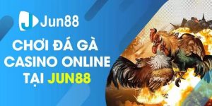 Đá gà online Jun88