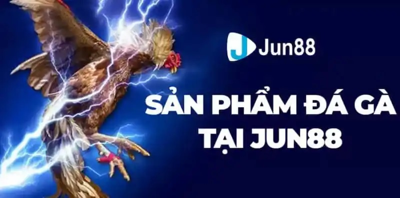 Những đặc điểm thú vị chỉ có tại đá gà Jun88