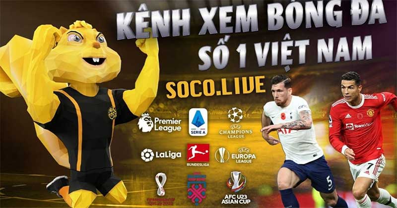 Socolive trực tiếp bóng đá miễn phí chất lượng cao | Theo Jun88